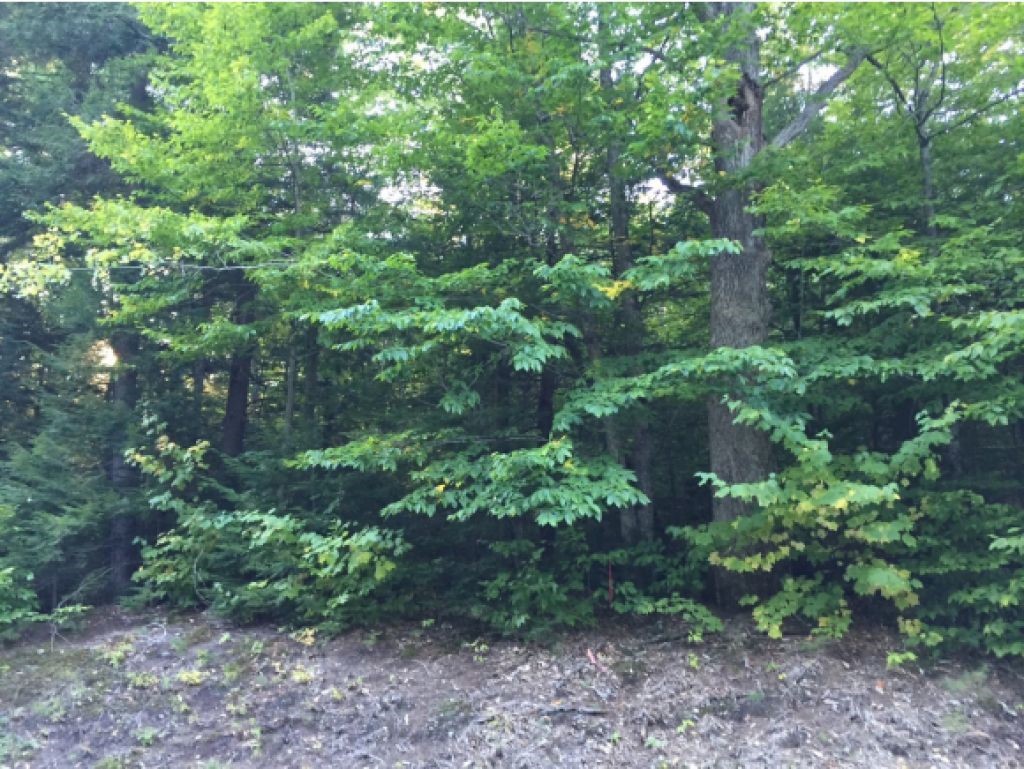 2-8 Swain Road Meredith, NH 03253 - Photo 23 of 27