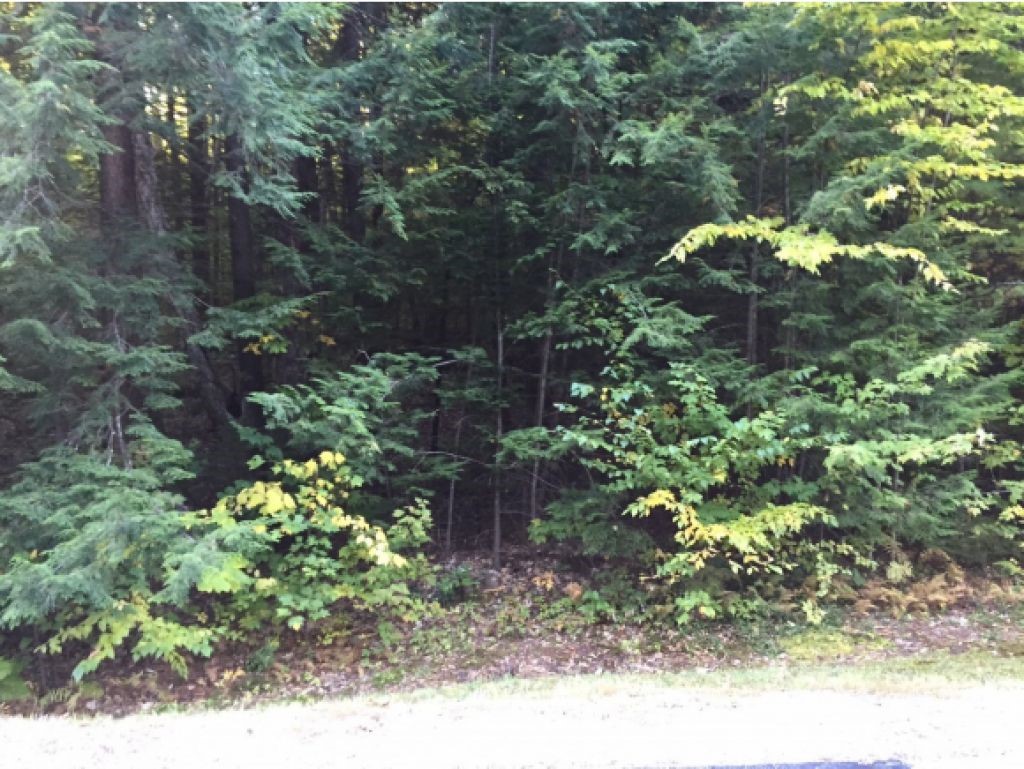2-8 Swain Road Meredith, NH 03253 - Photo 26 of 27