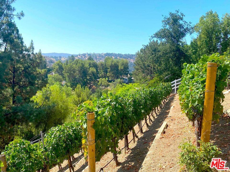 25045 Jim Bridger Road Hidden Hills, CA 91302 - Photo 14 of 52