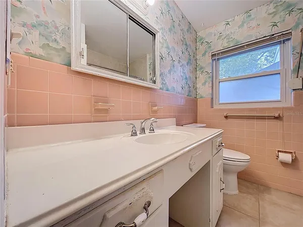 a bathroom with a sink and a toilet
