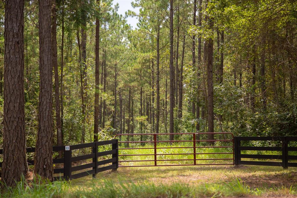 0 Fm 352 Corrigan, TX 75939 - Photo 6 of 9 a view of outdoor space and deck