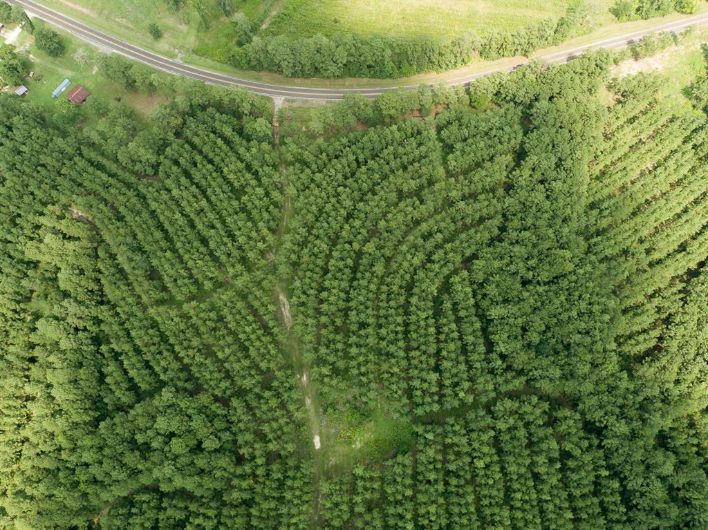 0 Fm 352 Corrigan, TX 75939 - Photo 9 of 9 a view of a yard