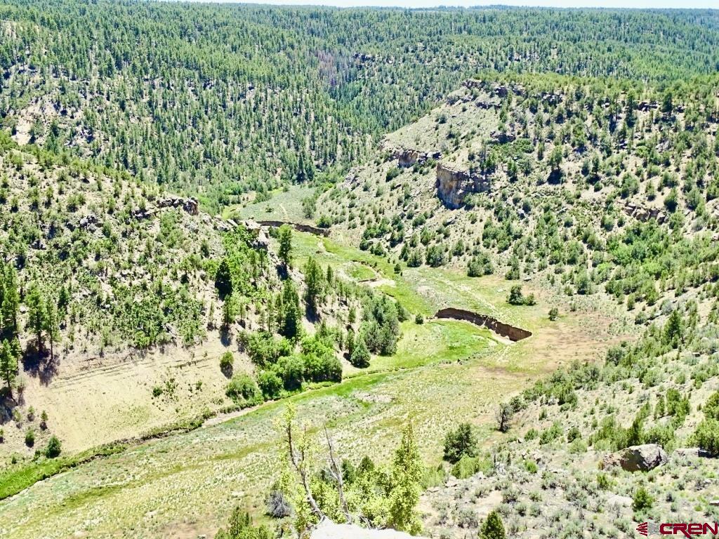 955 County Road 303, Unit CROSS CANYON RANCH Cebolla, NM 87518 - Photo 11 of 44 a view of a garden with a pathway