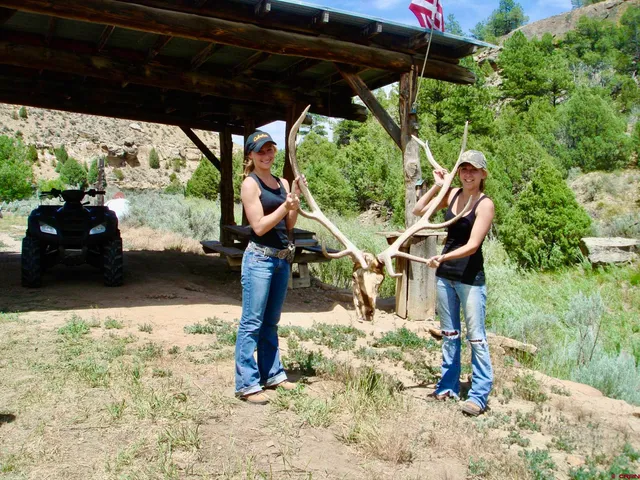 a view of a flower in a yard