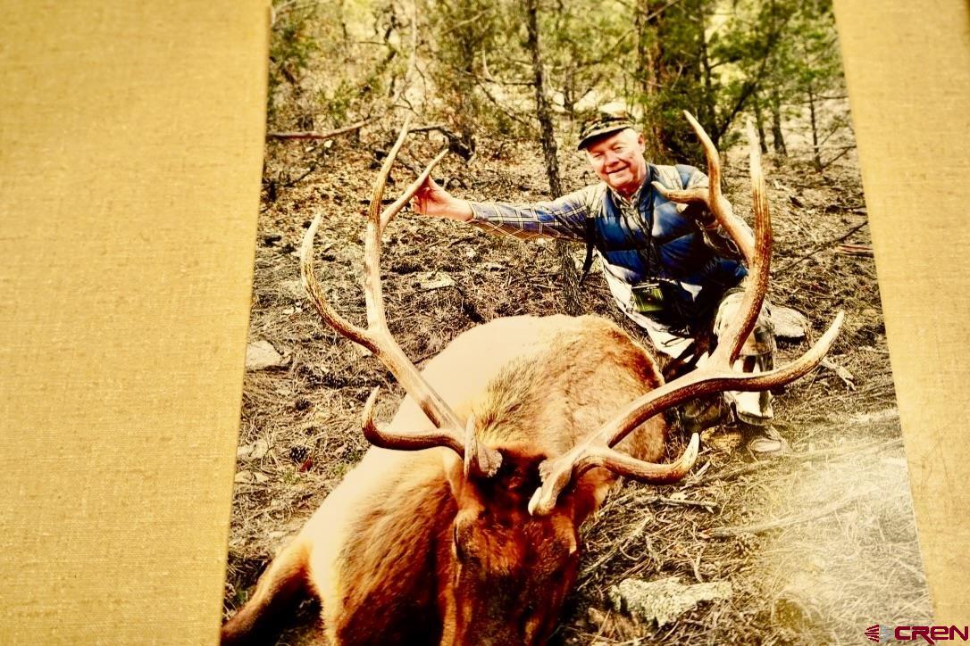 955 County Road 303, Unit CROSS CANYON RANCH Cebolla, NM 87518 - Photo 15 of 44 a view of a lake