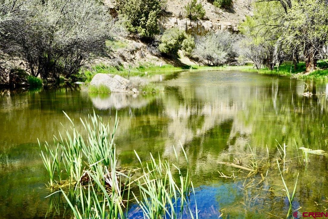 955 County Road 303, Unit CROSS CANYON RANCH Cebolla, NM 87518 - Photo 2 of 44