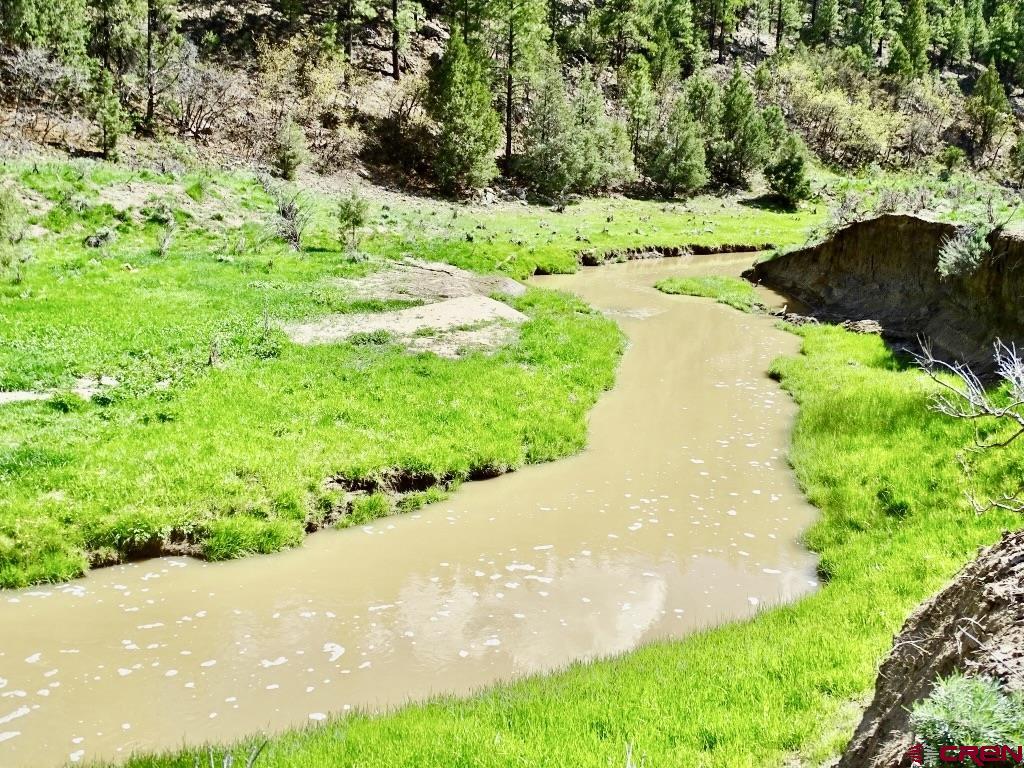 955 County Road 303, Unit CROSS CANYON RANCH Cebolla, NM 87518 - Photo 25 of 44