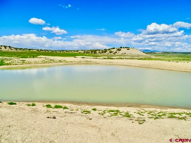 a view of a garden with a flower
