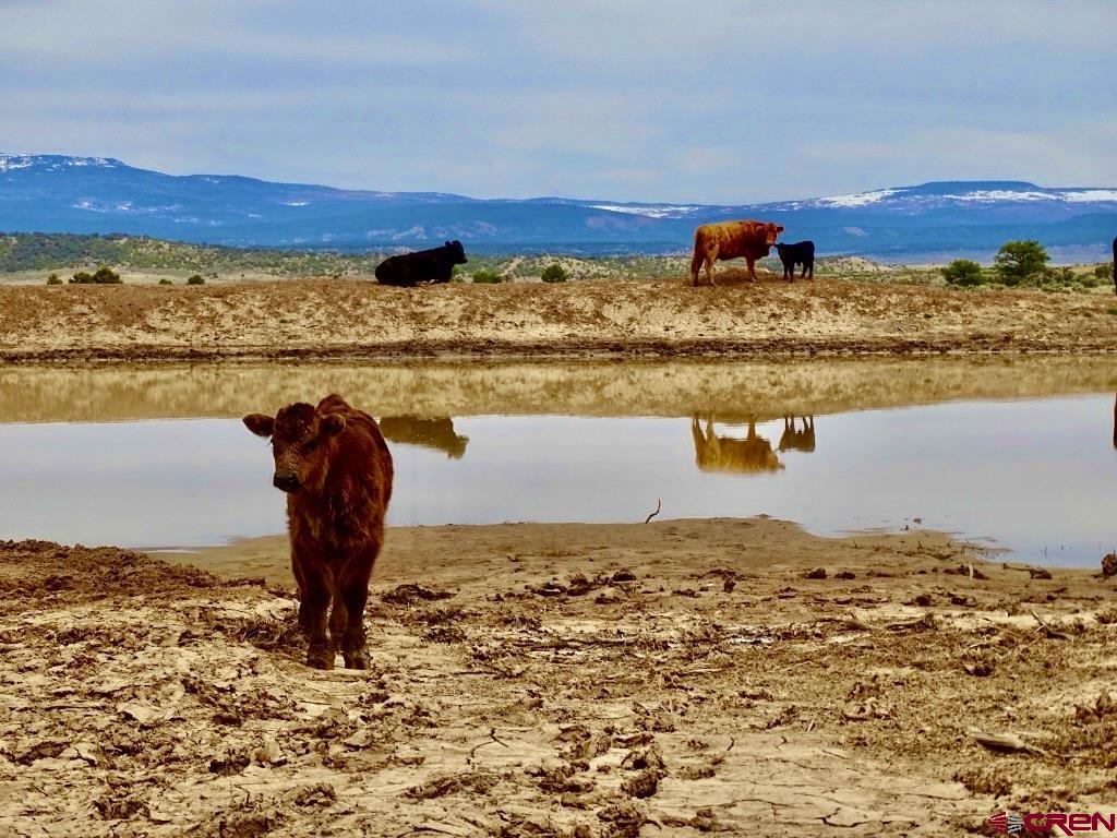 955 County Road 303, Unit CROSS CANYON RANCH Cebolla, NM 87518 - Photo 30 of 44 a view of ocean view