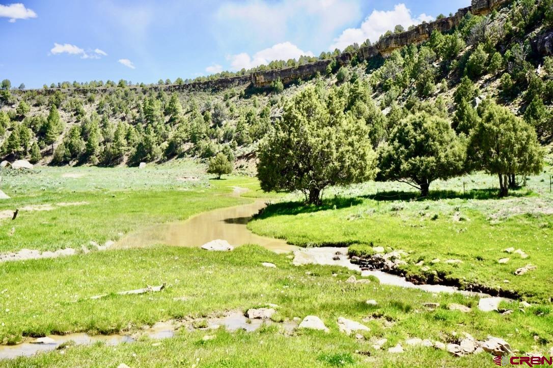 955 County Road 303, Unit CROSS CANYON RANCH Cebolla, NM 87518 - Photo 3 of 44 a view of a field with an trees