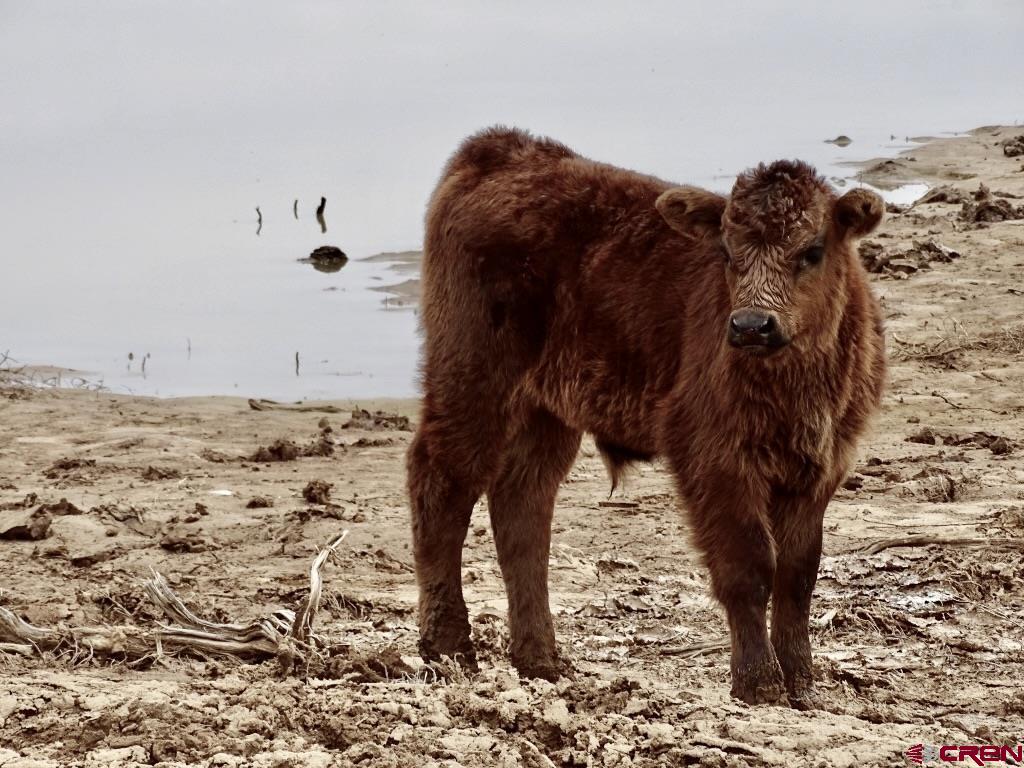 955 County Road 303, Unit CROSS CANYON RANCH Cebolla, NM 87518 - Photo 32 of 44 a view of a sky view