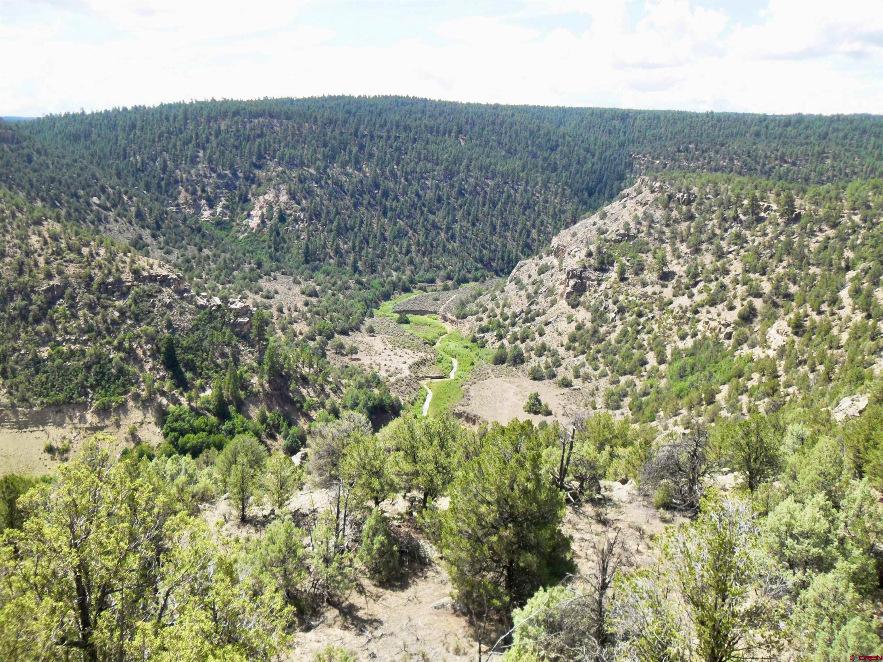 955 County Road 303, Unit CROSS CANYON RANCH Cebolla, NM 87518 - Photo 33 of 44 a view of a field