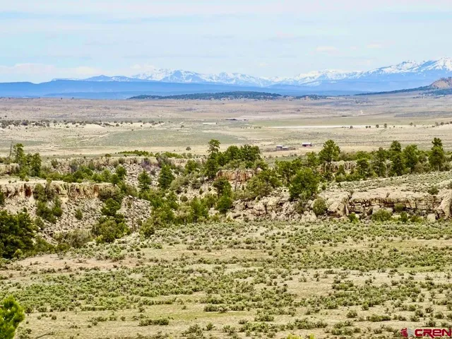 a view of a large mountain with trees in the background