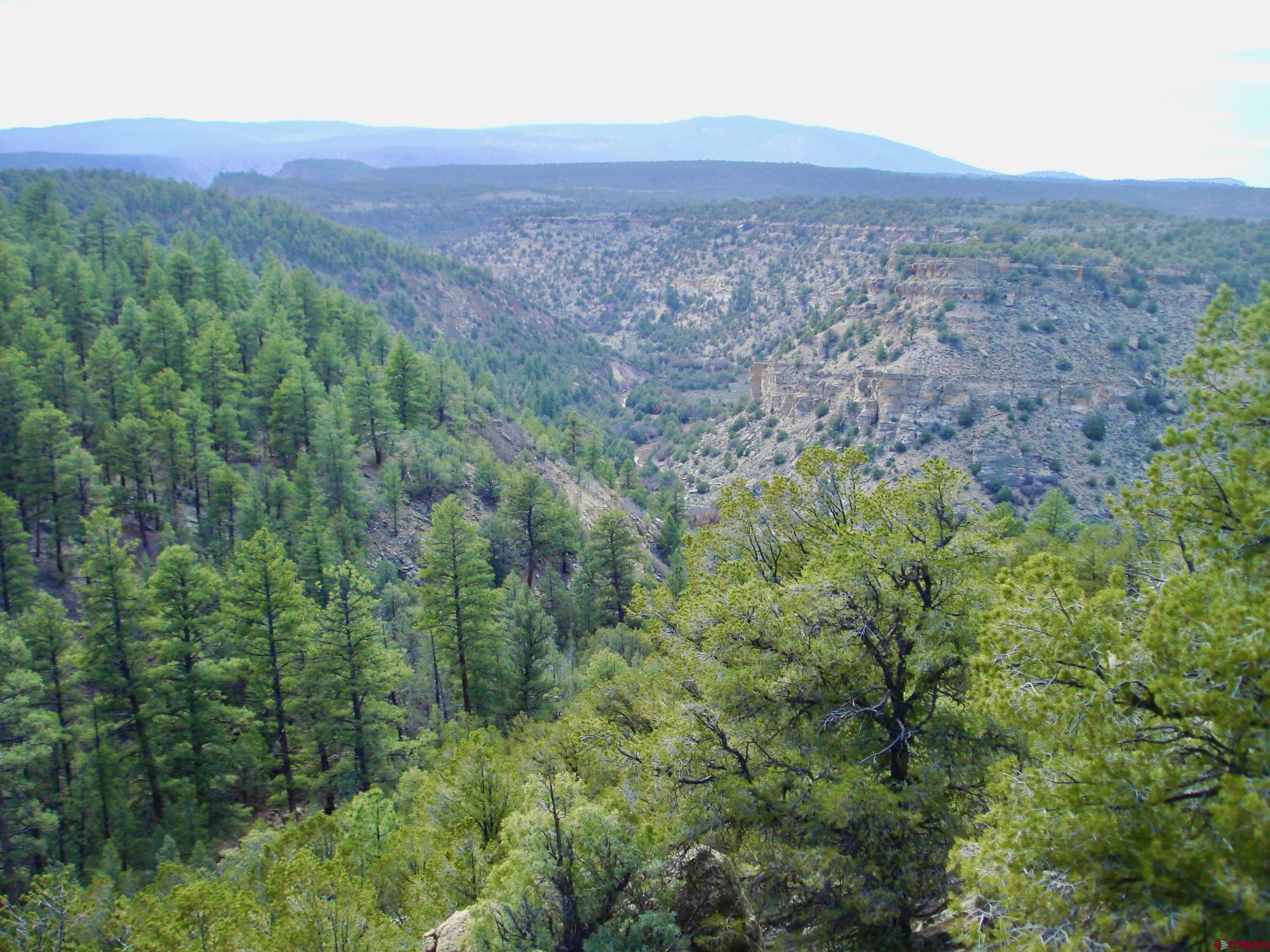 955 County Road 303, Unit CROSS CANYON RANCH Cebolla, NM 87518 - Photo 36 of 44 a view of a large mountain with trees in the background