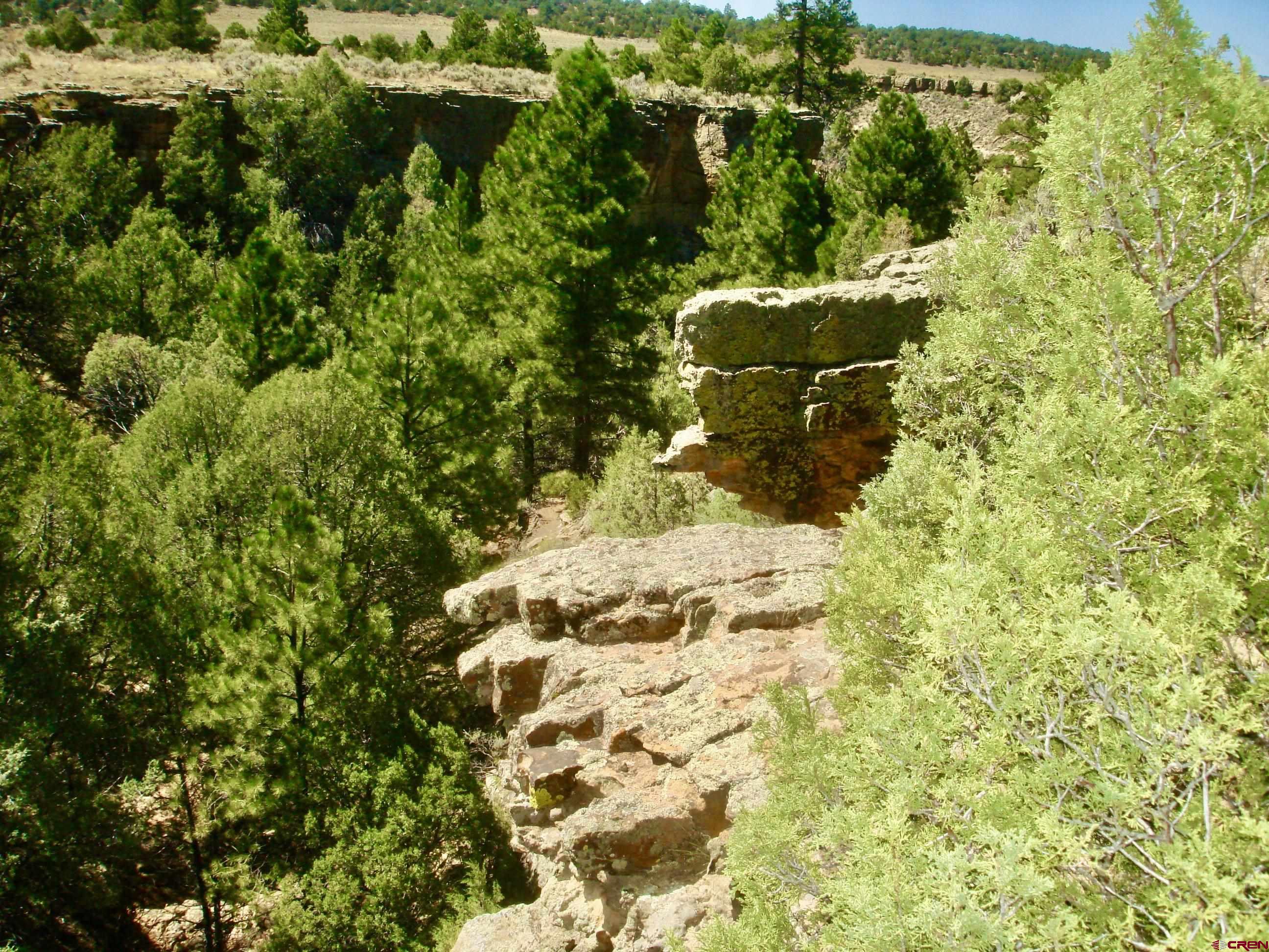 955 County Road 303, Unit CROSS CANYON RANCH Cebolla, NM 87518 - Photo 37 of 44 a view of outdoor space and garden