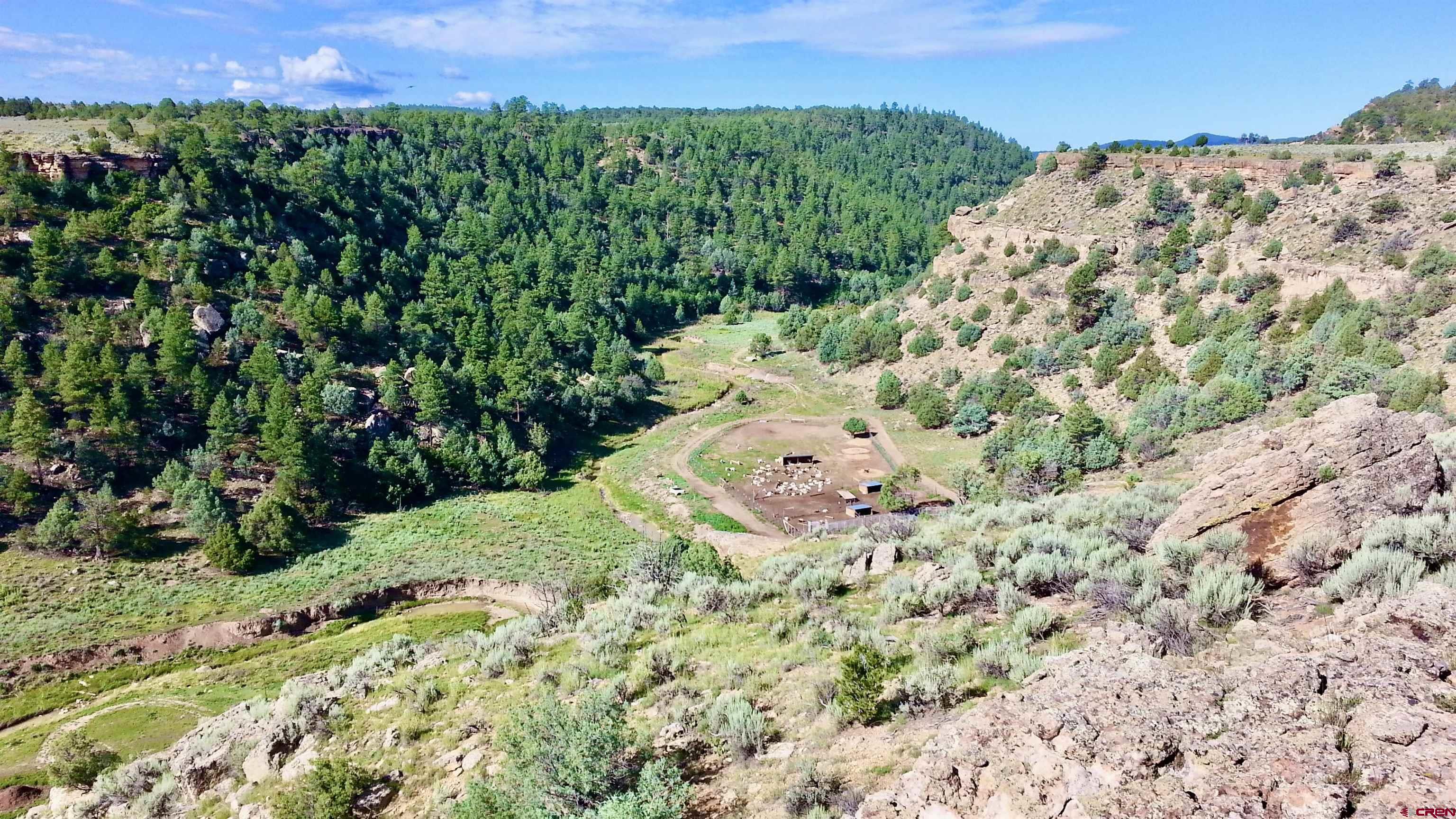 955 County Road 303, Unit CROSS CANYON RANCH Cebolla, NM 87518 - Photo 38 of 44 a view of a yard with a house