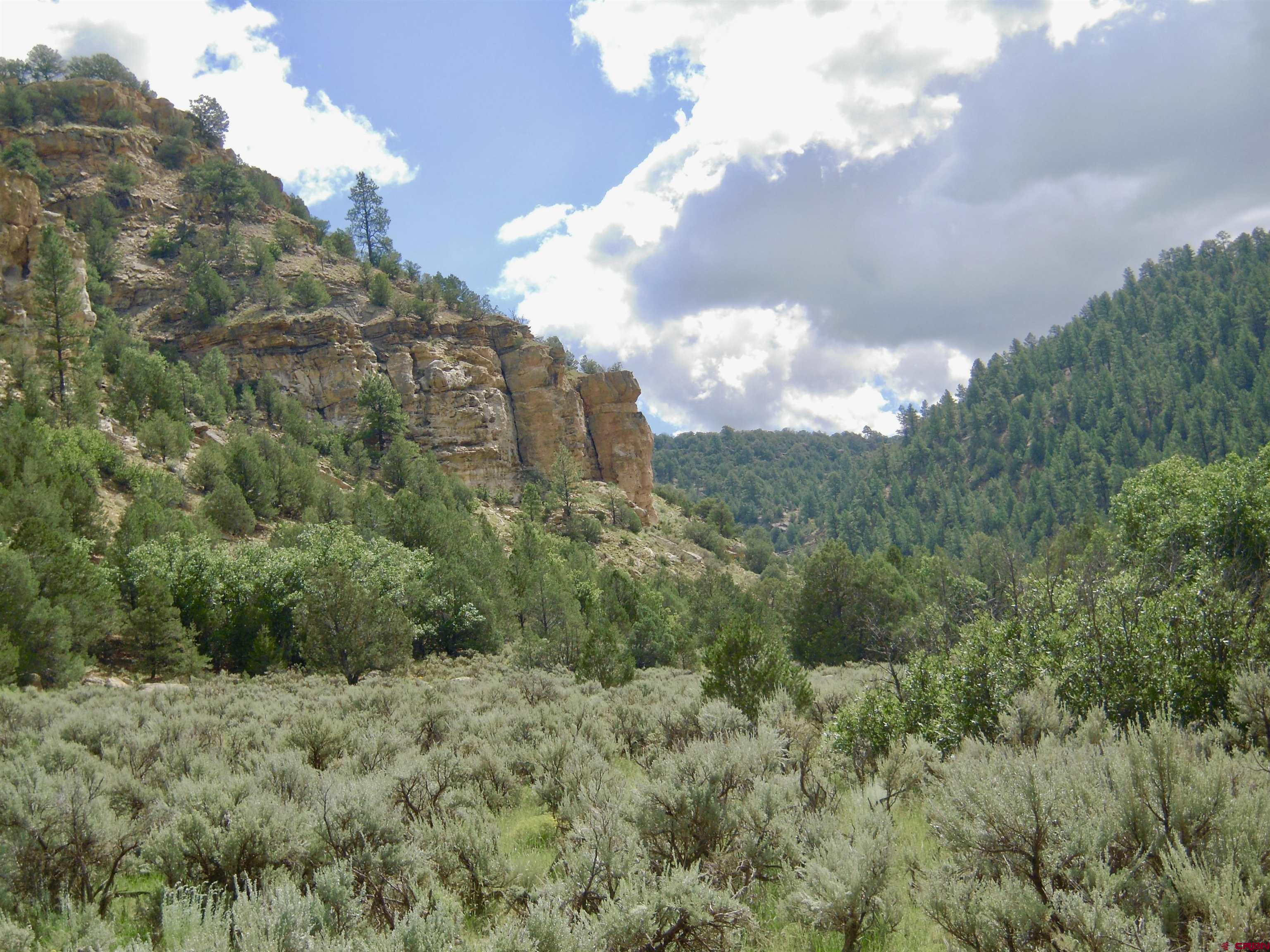 955 County Road 303, Unit CROSS CANYON RANCH Cebolla, NM 87518 - Photo 40 of 44