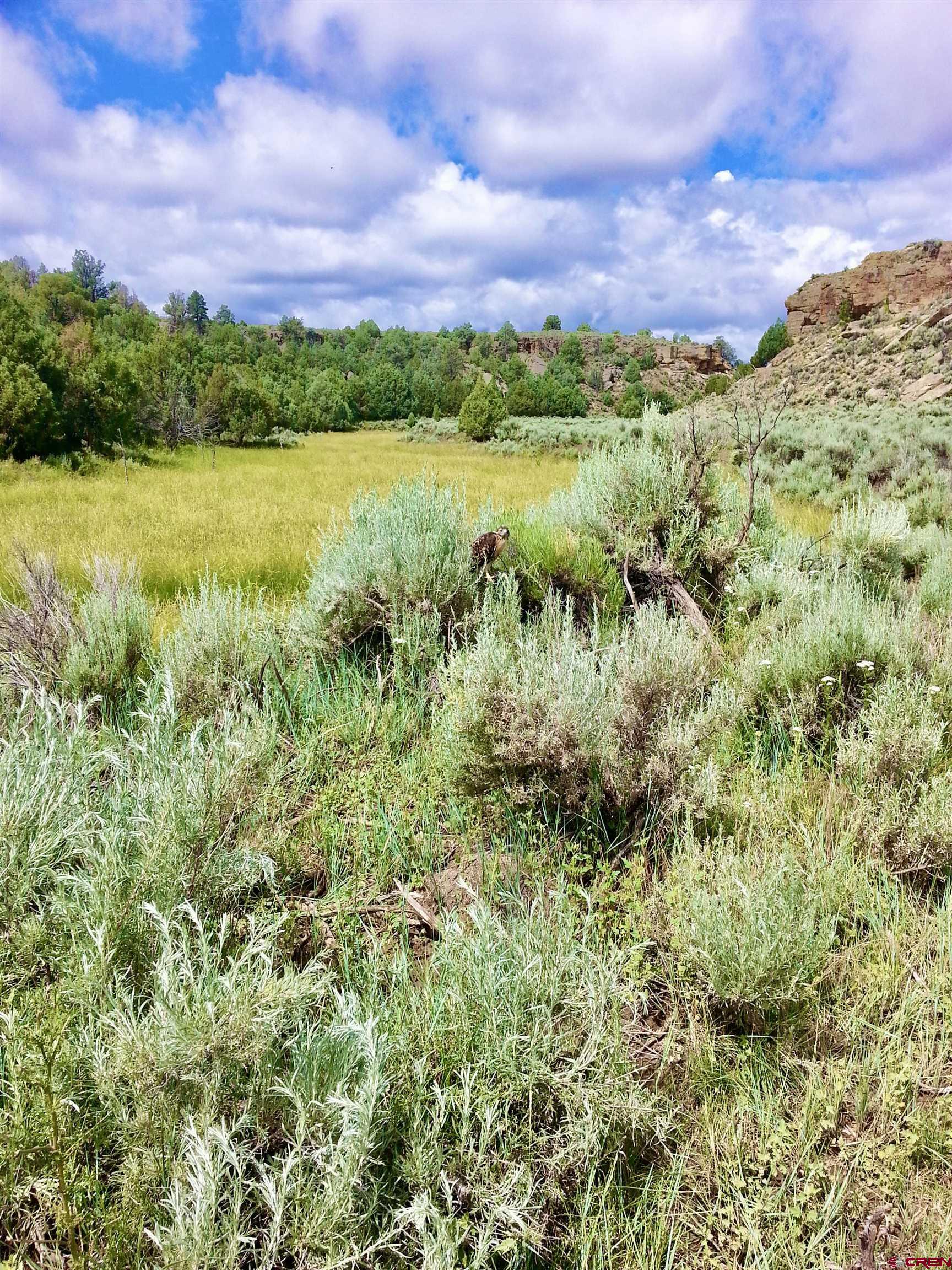 955 County Road 303, Unit CROSS CANYON RANCH Cebolla, NM 87518 - Photo 42 of 44 a view of mountain with lake view