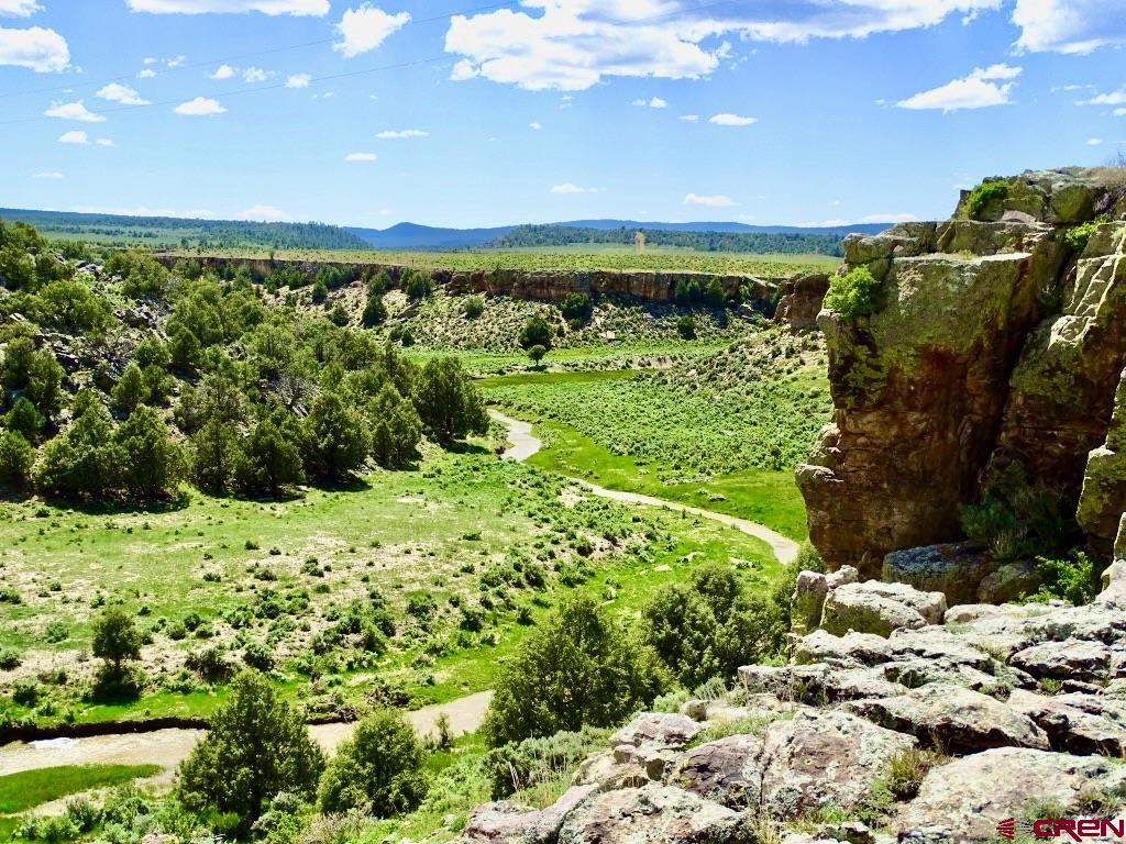 955 County Road 303, Unit CROSS CANYON RANCH Cebolla, NM 87518 - Photo 44 of 44 a view of a garden with an ocean