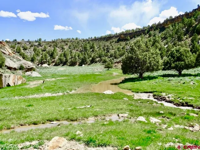 a view of a grassy field with trees