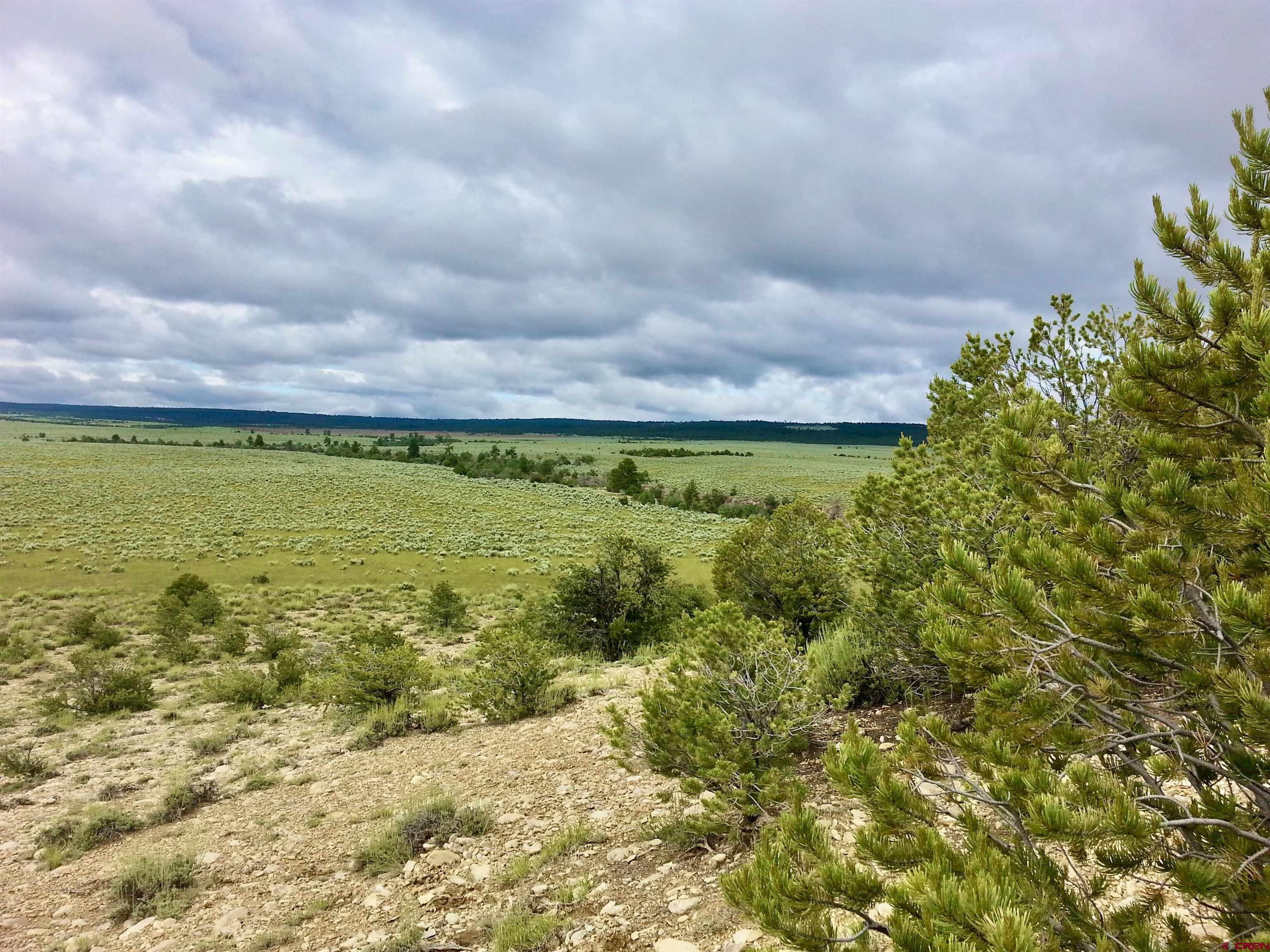 955 County Road 303, Unit CROSS CANYON RANCH Cebolla, NM 87518 - Photo 7 of 44 a view of an ocean