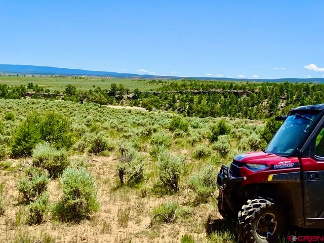 a view of a garden with a pathway