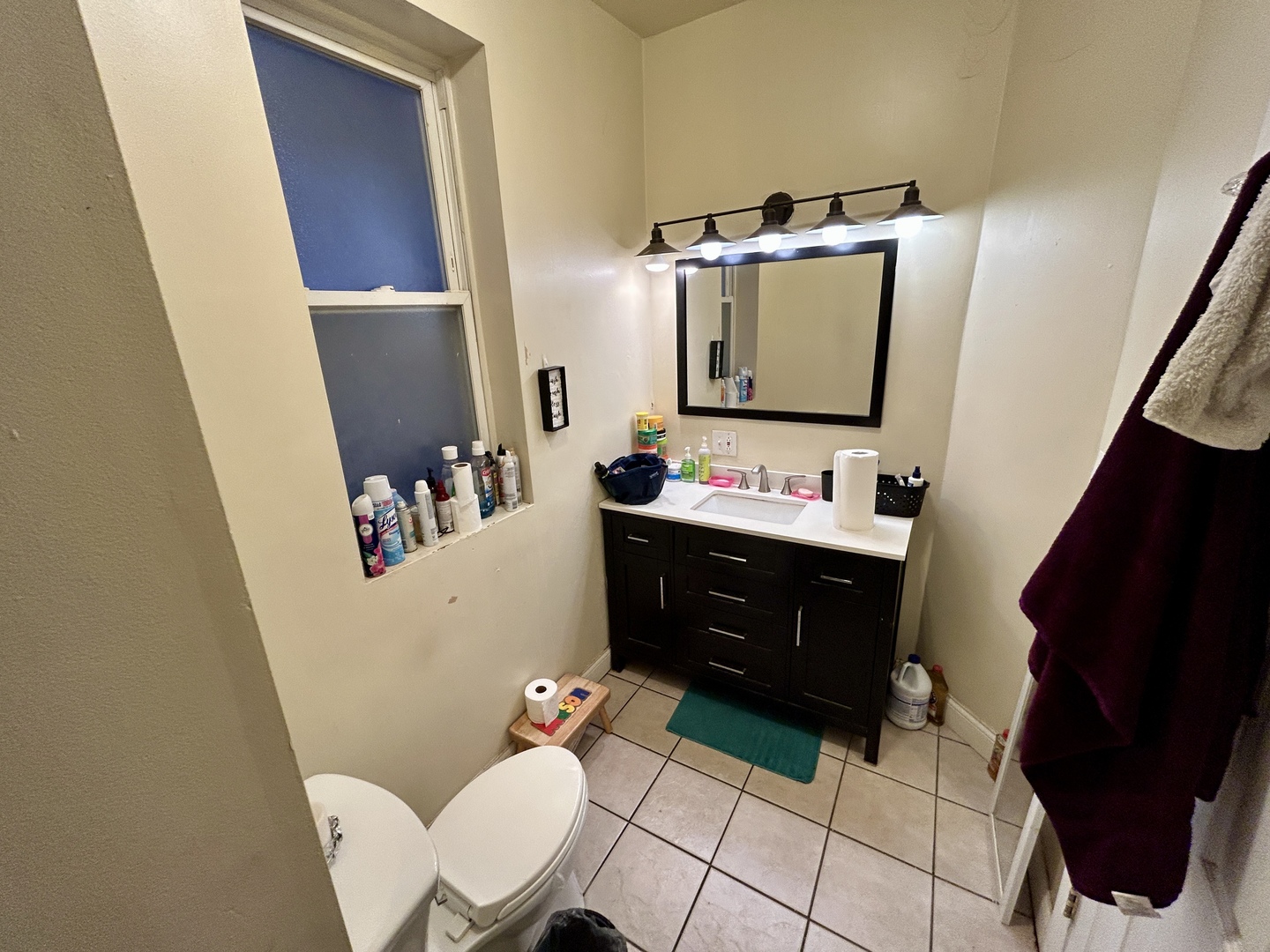 5714 South Prairie Avenue Chicago, IL 60637 - Photo 28 of 39 a bathroom with a sink vanity and toilet