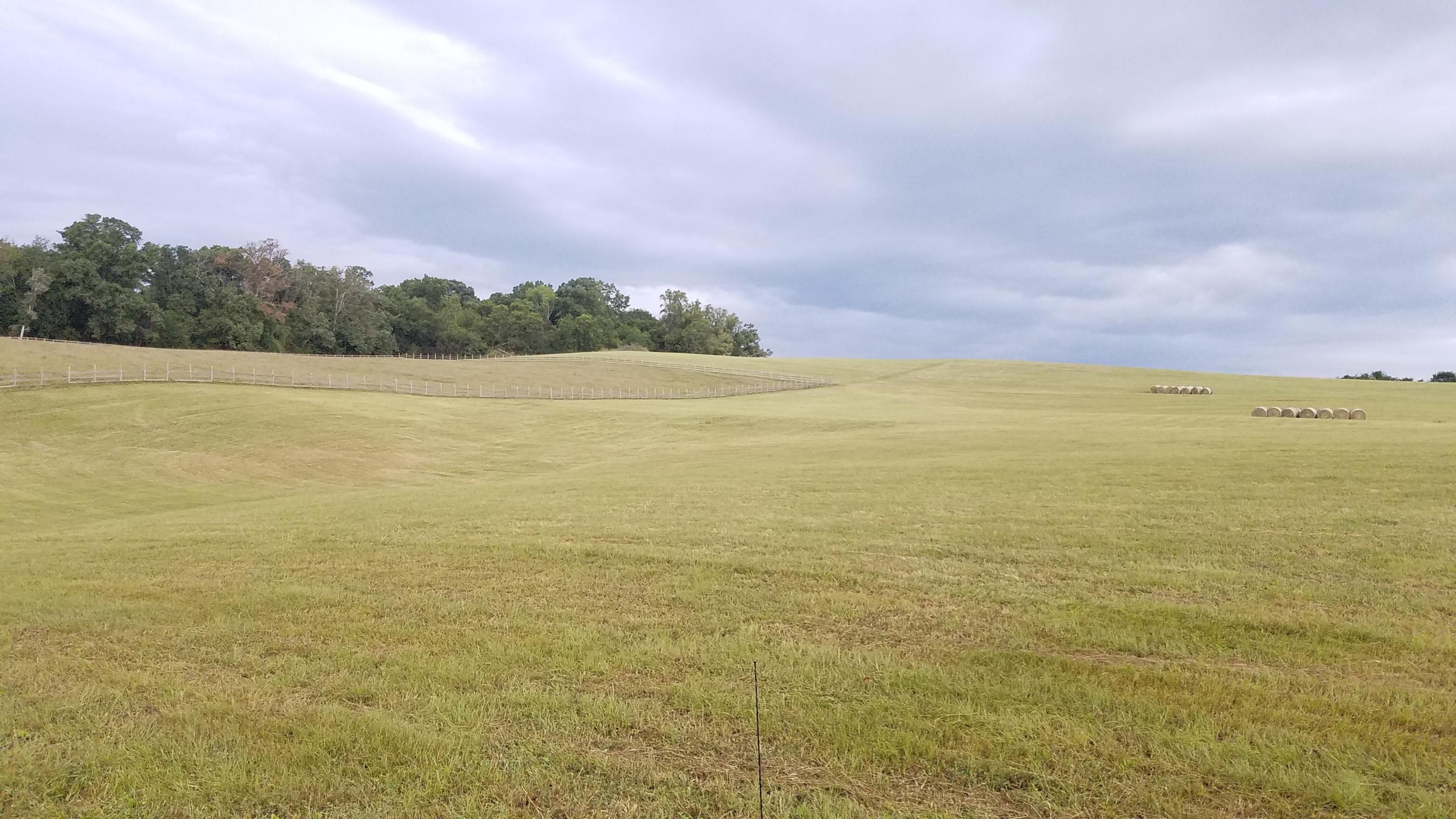 13 Kodak Road Kodak, TN 37764 - Photo 1 of 17 A05