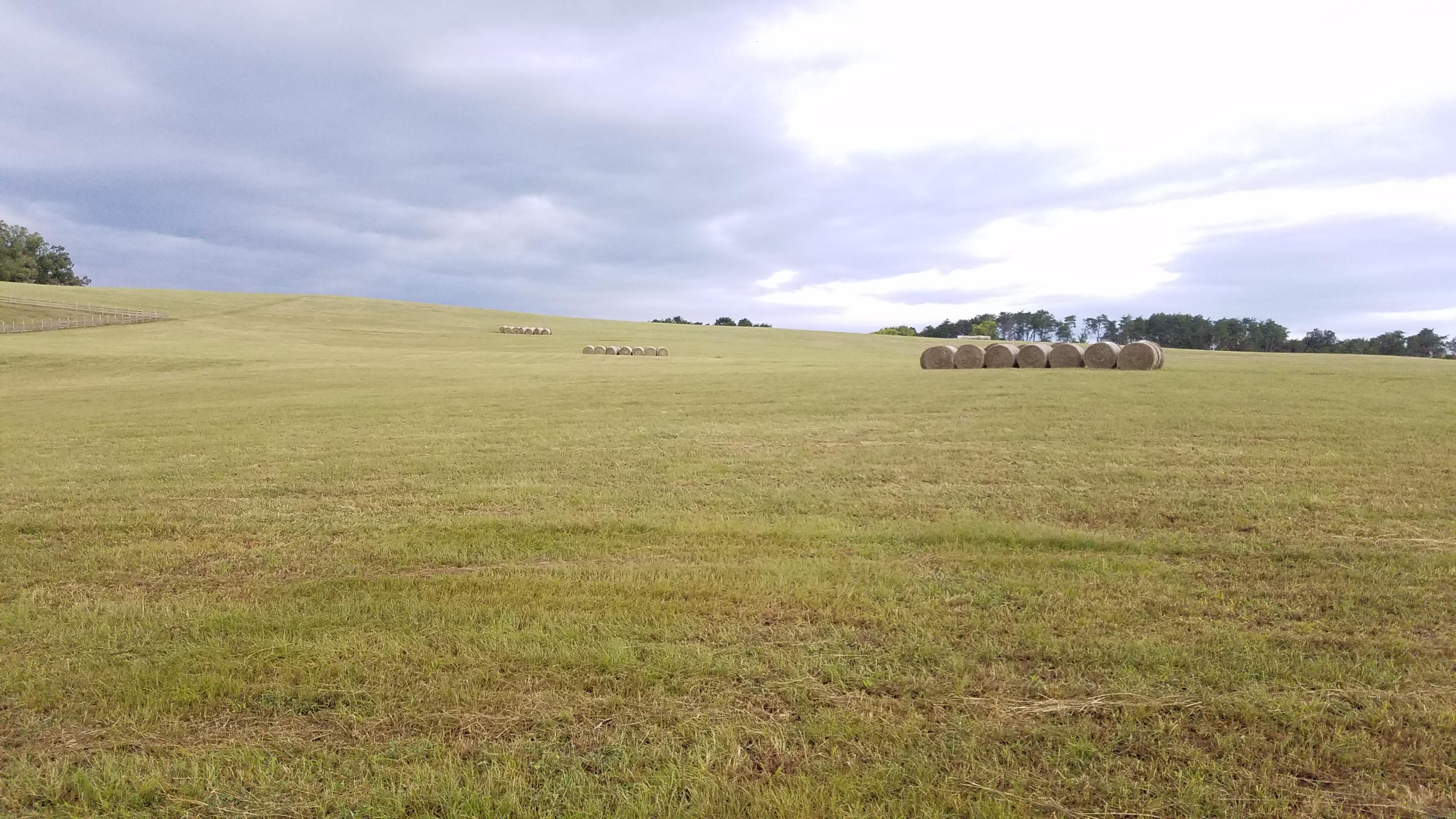 13 Kodak Road Kodak, TN 37764 - Photo 2 of 17 A11