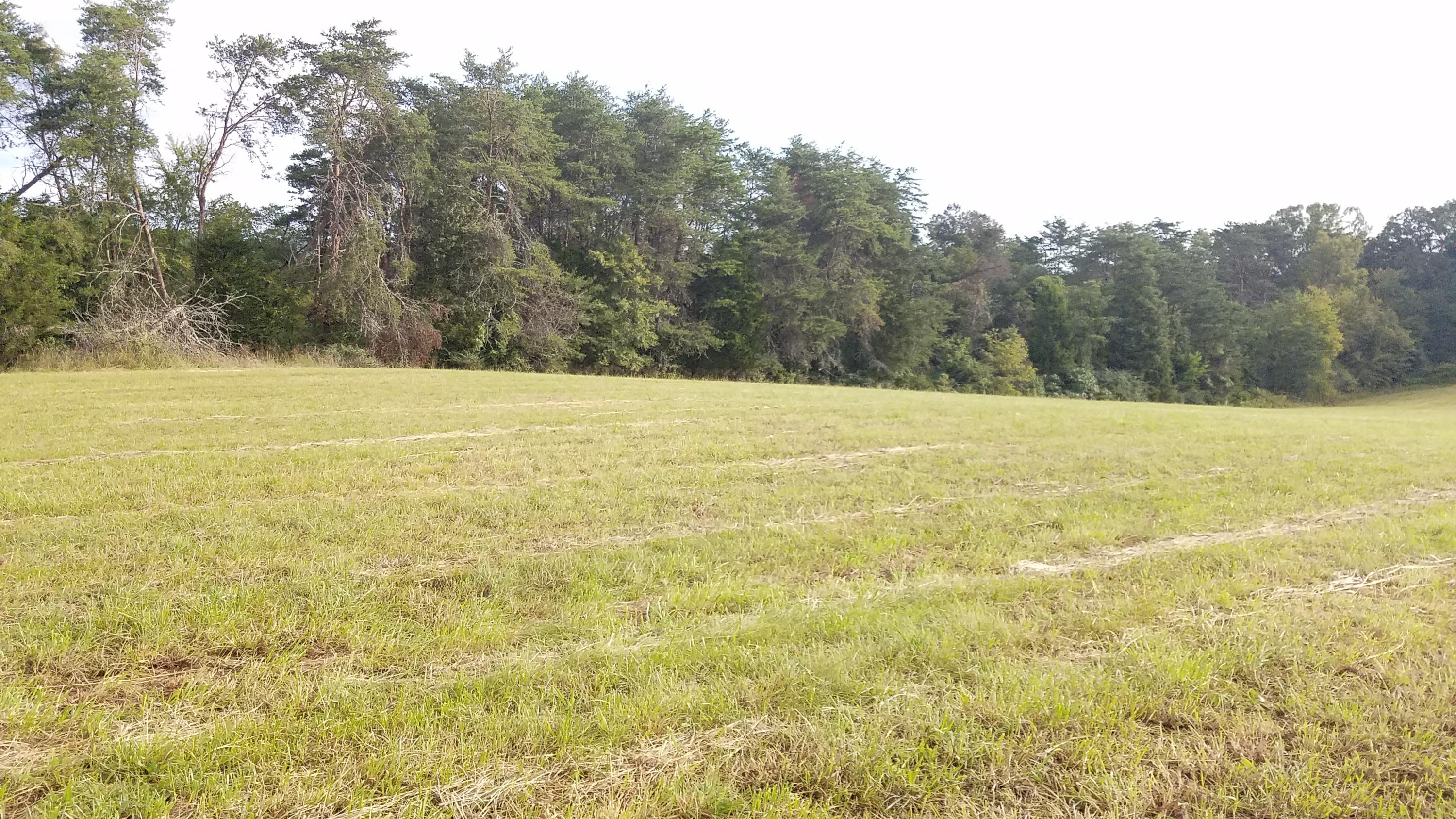 13 Kodak Road Kodak, TN 37764 - Photo 11 of 17 C04
