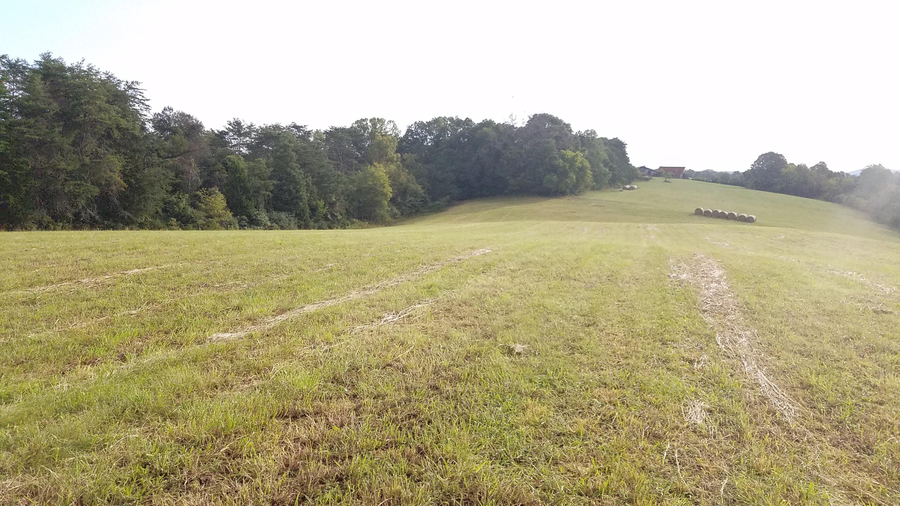 13 Kodak Road Kodak, TN 37764 - Photo 12 of 17 C05