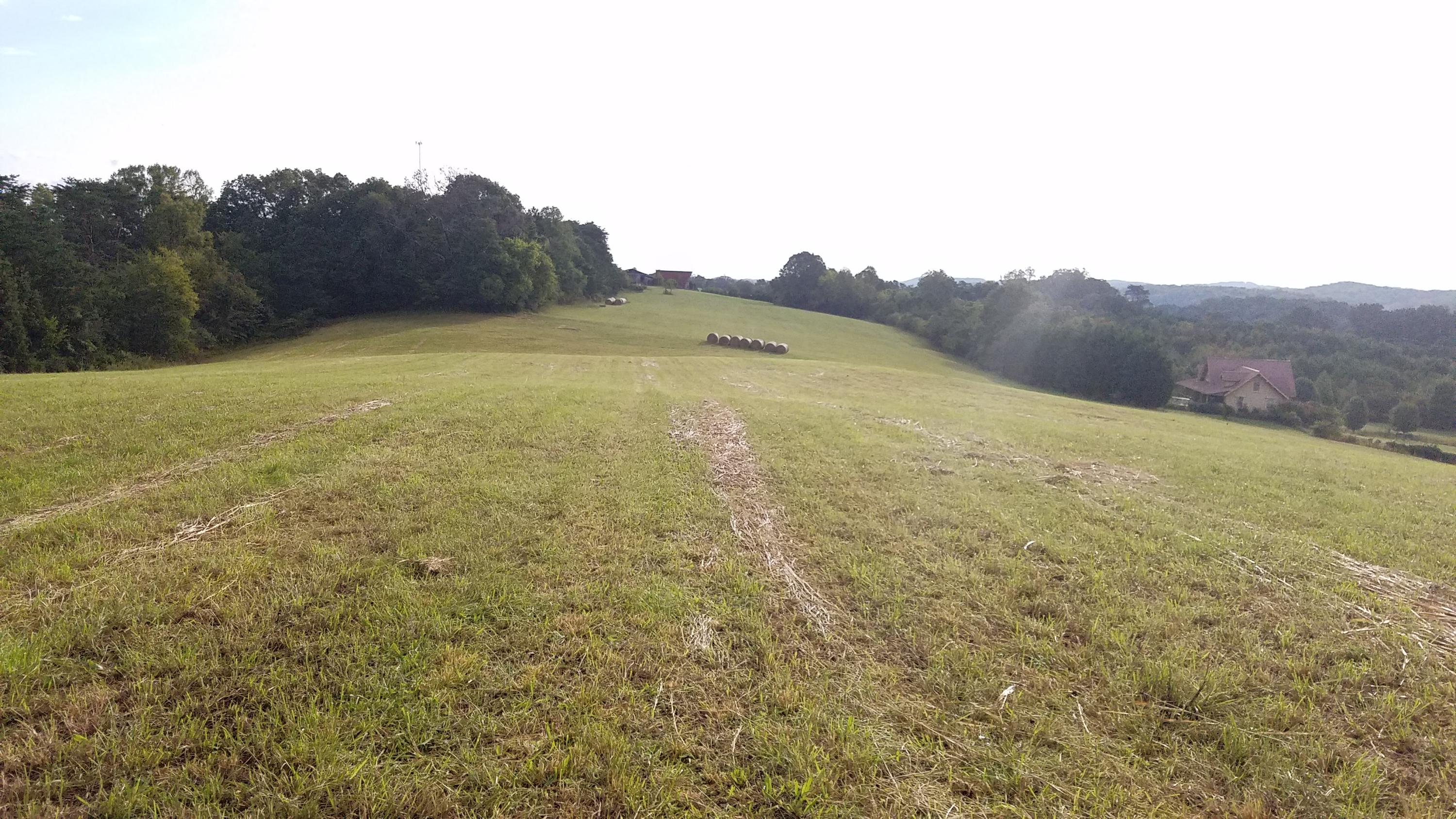13 Kodak Road Kodak, TN 37764 - Photo 13 of 17 C06