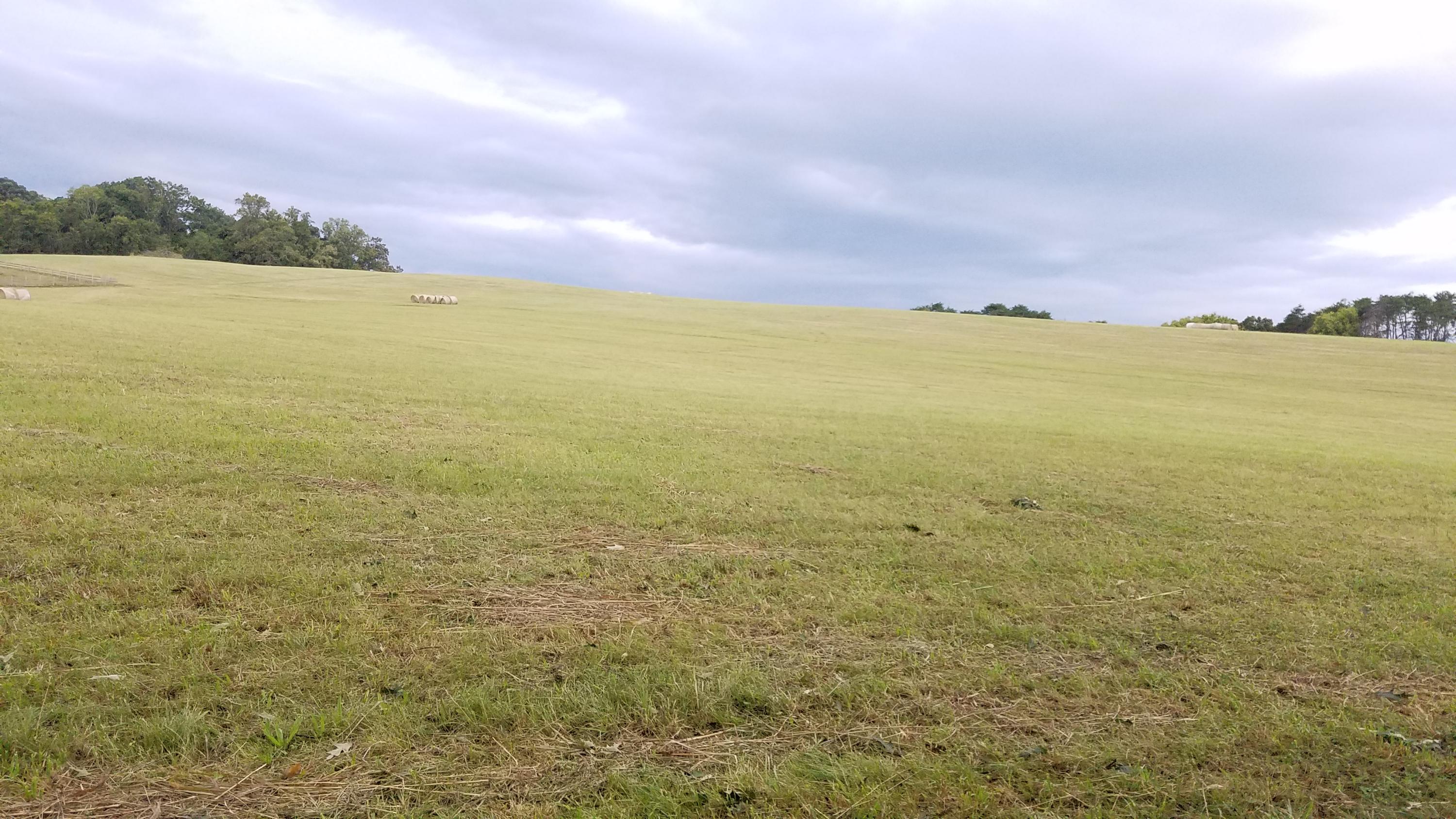 13 Kodak Road Kodak, TN 37764 - Photo 5 of 17 B09