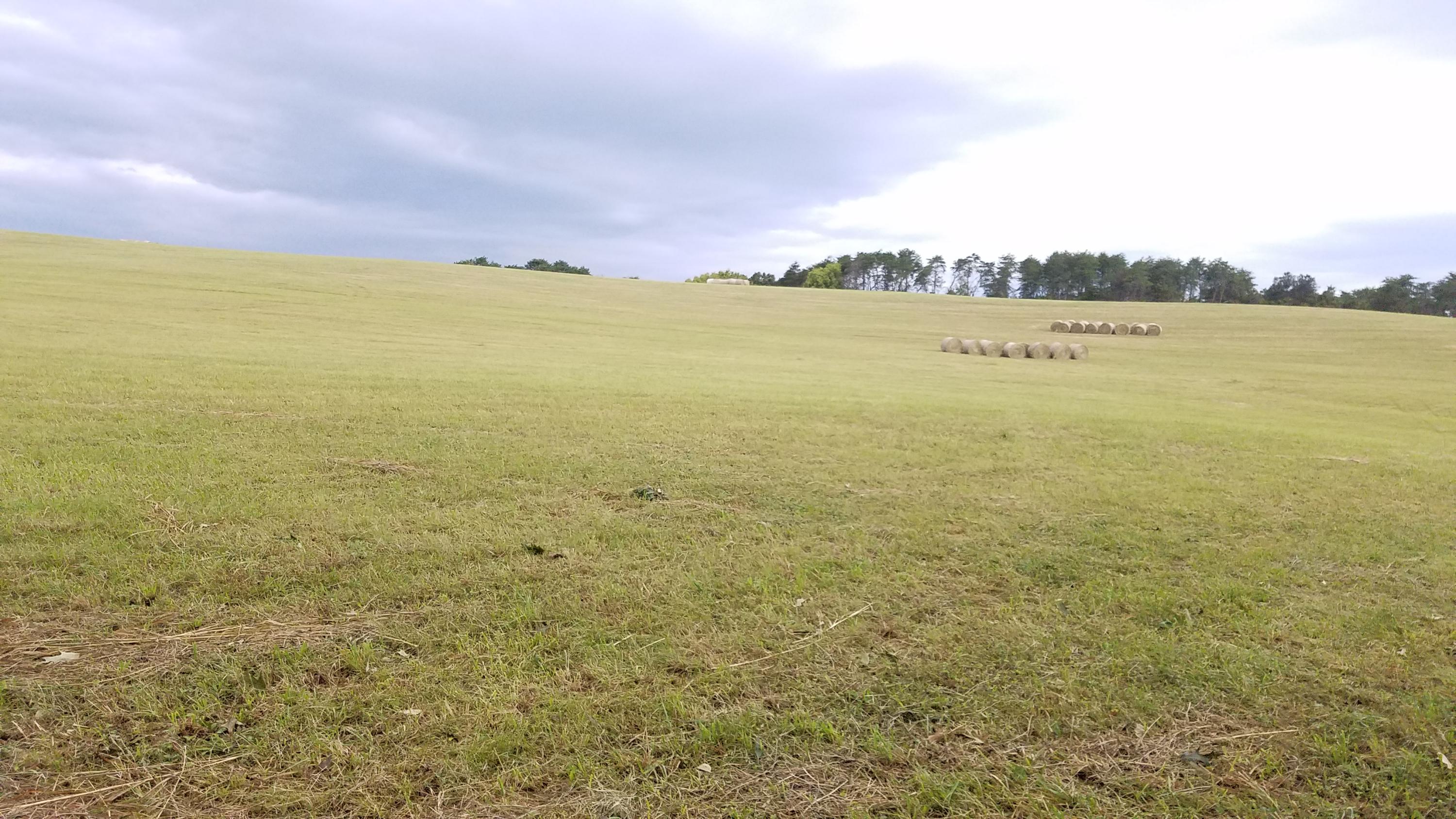 13 Kodak Road Kodak, TN 37764 - Photo 6 of 17 B15
