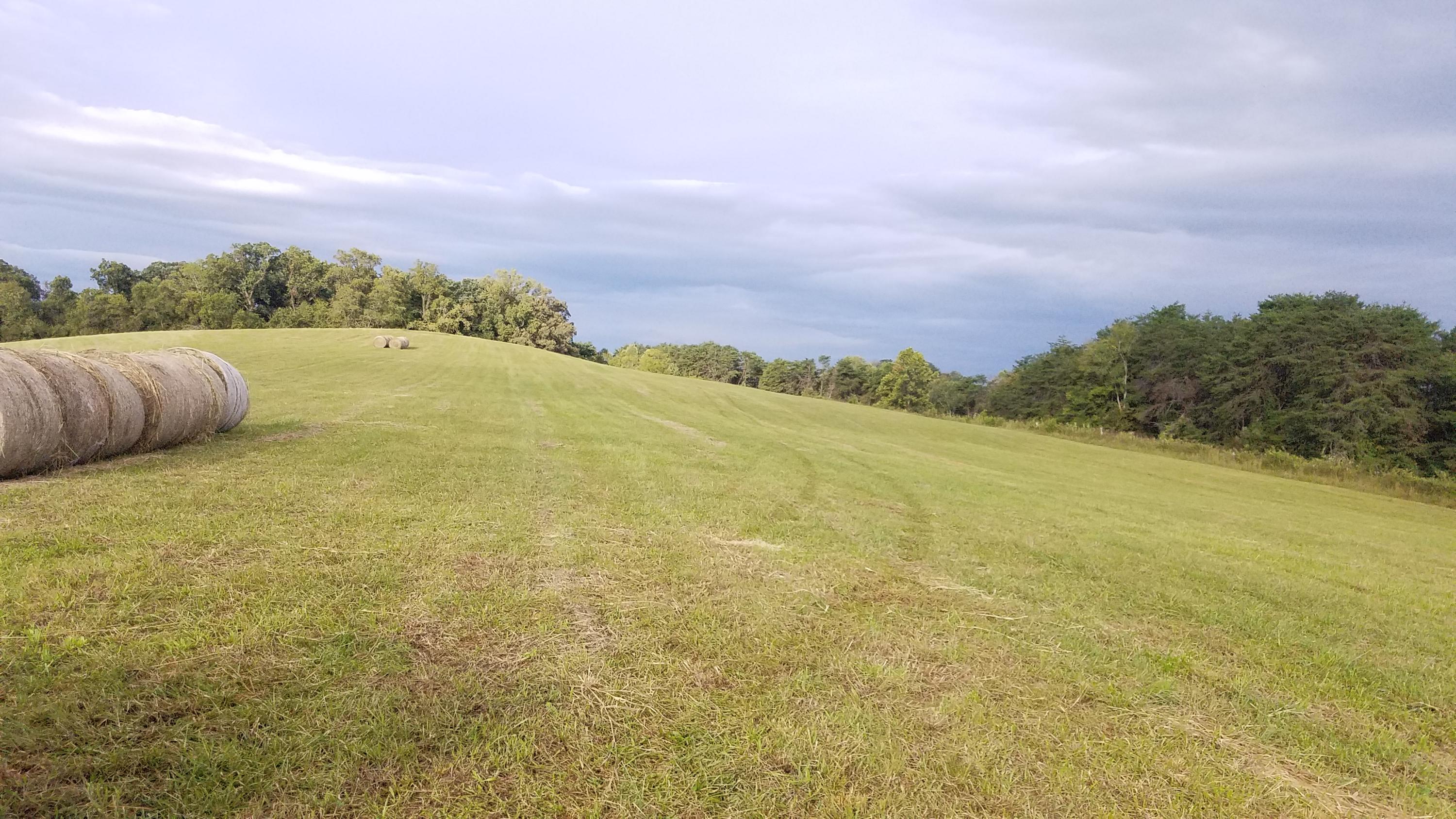 13 Kodak Road Kodak, TN 37764 - Photo 9 of 17 C01