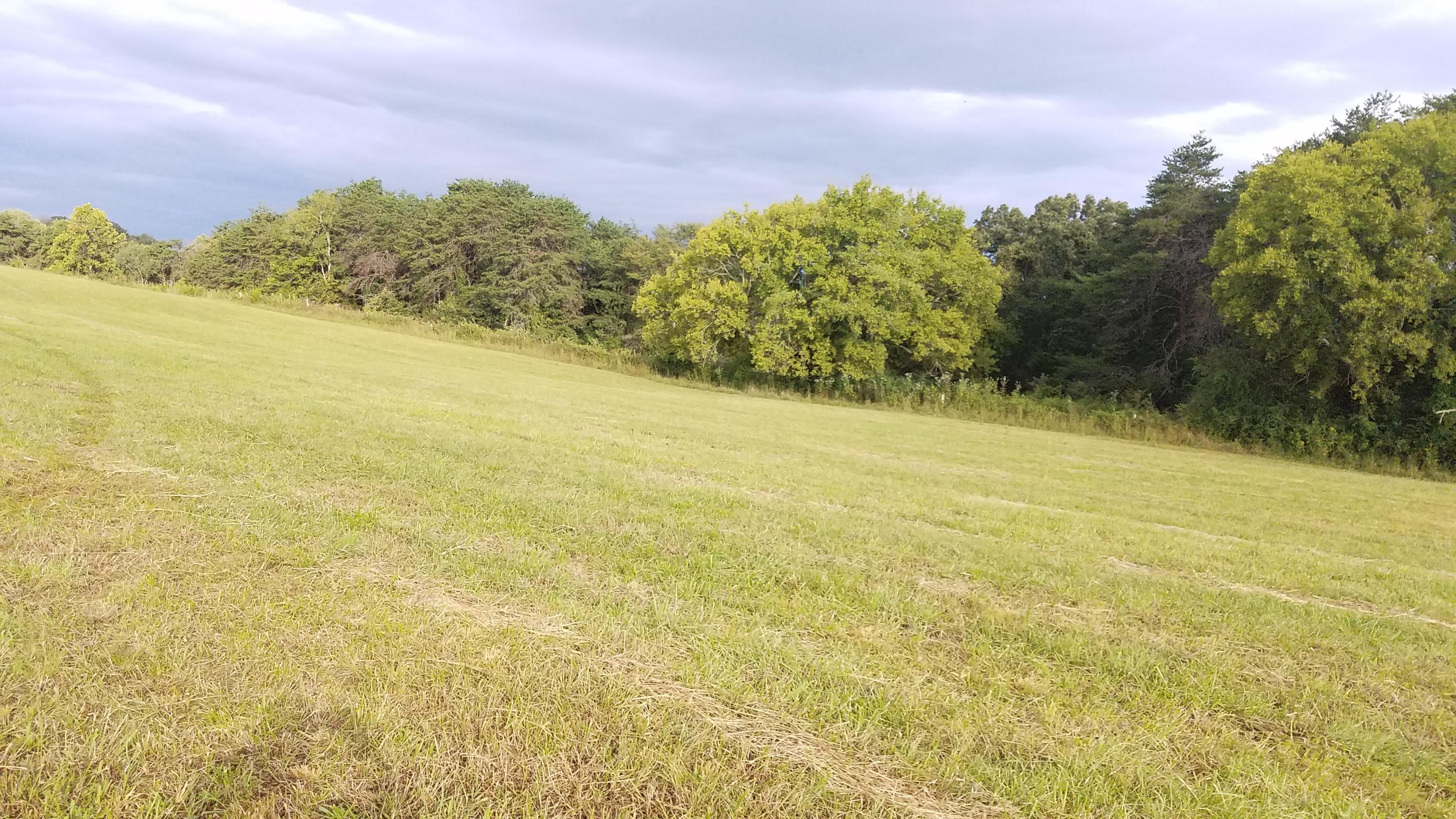 13 Kodak Road Kodak, TN 37764 - Photo 10 of 17 C02