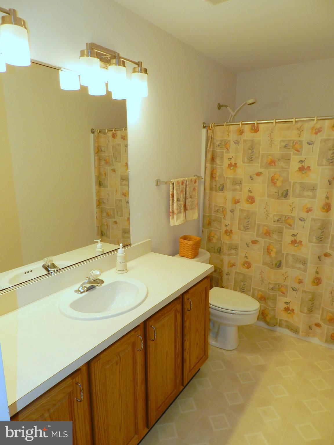 18401 Barnesville Road Barnesville, MD 20838 - Photo 21 of 30 a bathroom with a sink a toilet and shower