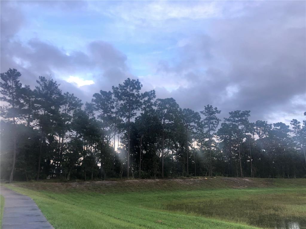 Learning Lane Deltona, FL 32738 - Photo 2 of 3 a view of a park