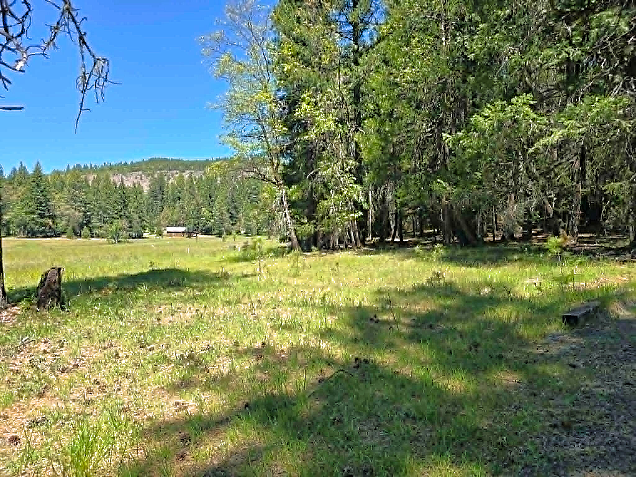 836 Ulrich Road Prospect, OR 97536 - Photo 40 of 47 a view of outdoor space with trees all around