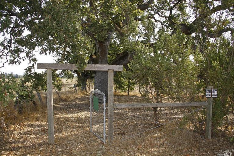 451 Duer Road Sebastopol, CA 95472 - Photo 1 of 1 a view of a house with a tree