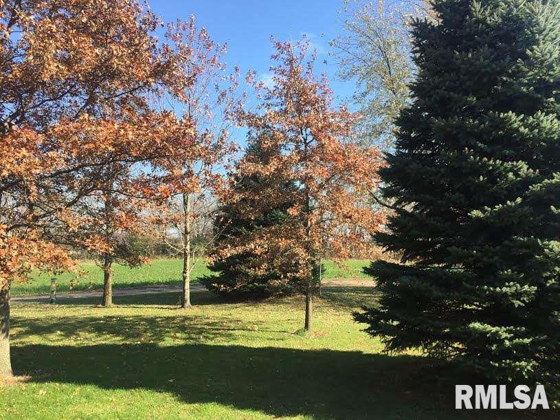 28659 Broadway Road Morton, IL 61550 - Photo 5 of 27