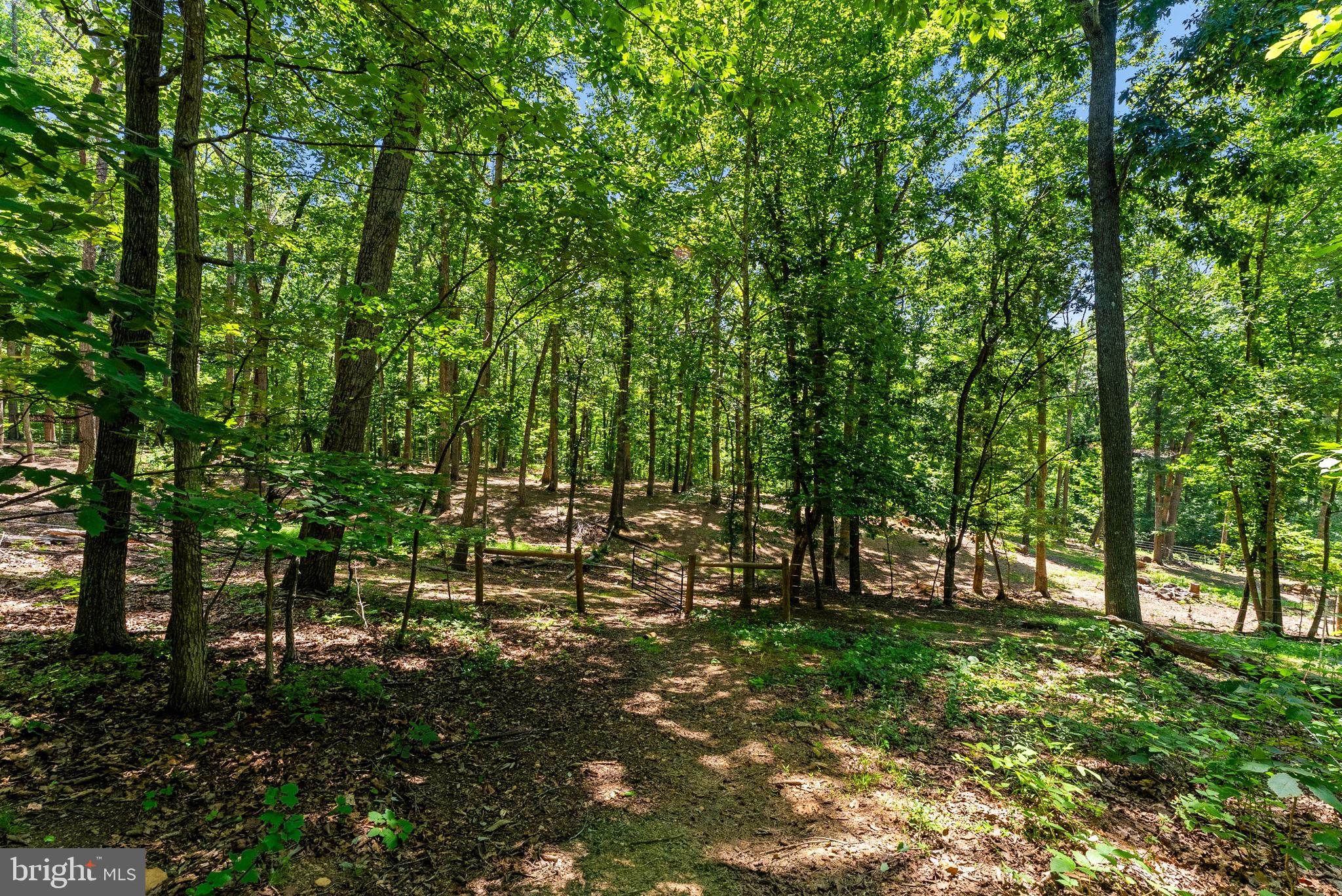 10275 Mountain Run Lake Road Culpeper, VA 22701 - Photo 81 of 89
