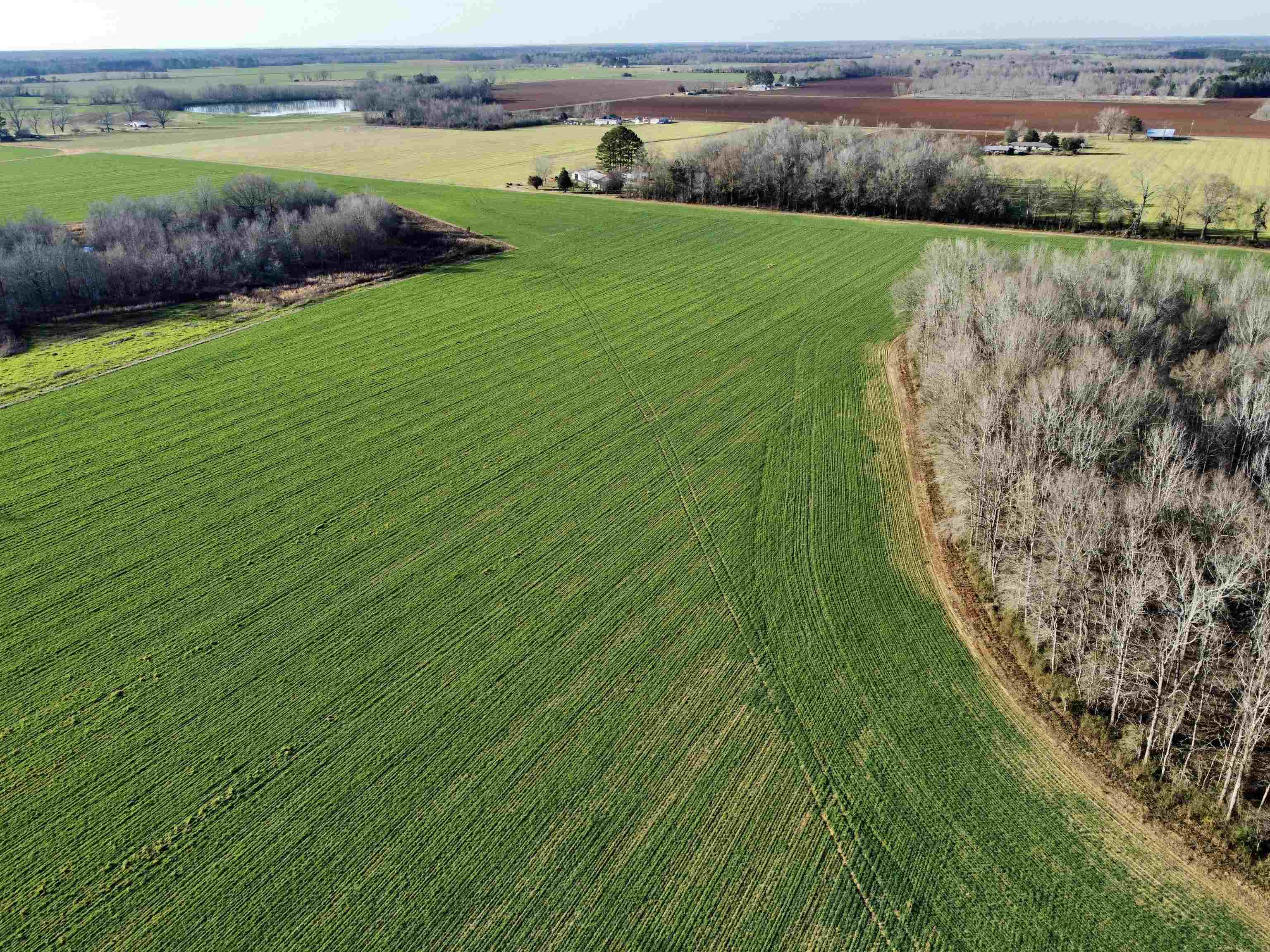 0 Country Road Atmore, AL 36502 - Photo 21 of 27