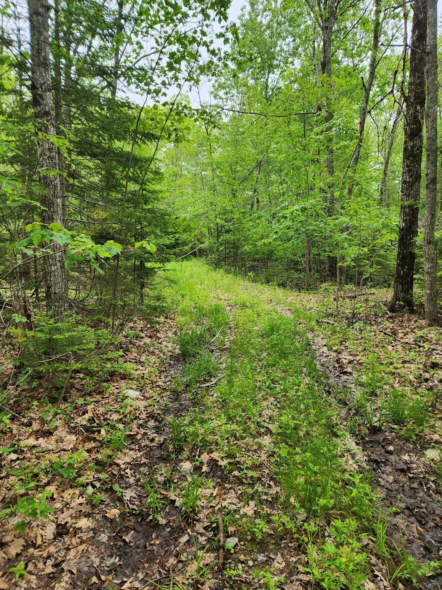 131 River Road Edgecomb, ME 04556 - Photo 27 of 28 20230606_122220