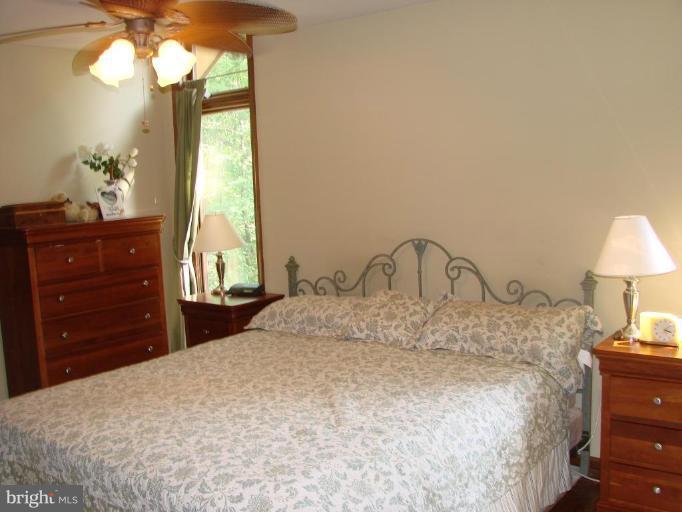 6711 Carters Run Road Marshall, VA 20115 - Photo 12 of 16 a bedroom with a bed and a chandelier