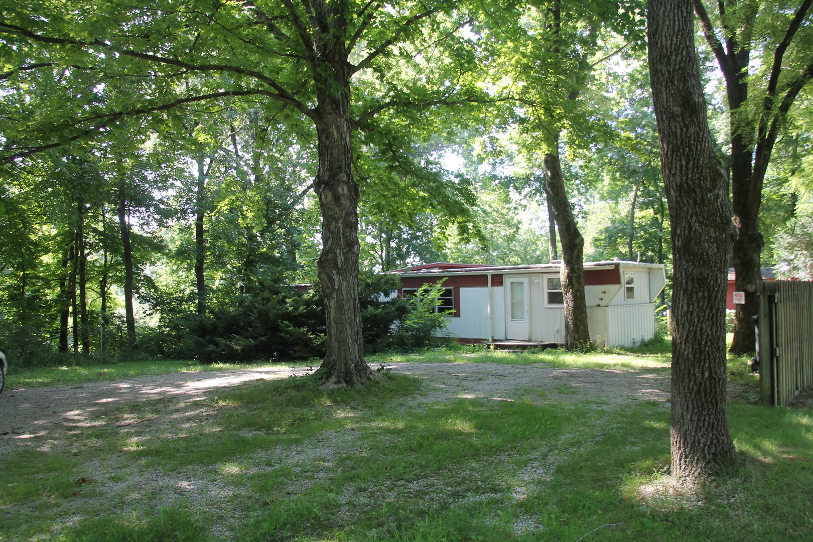 a view of a backyard with large trees and wooden fence