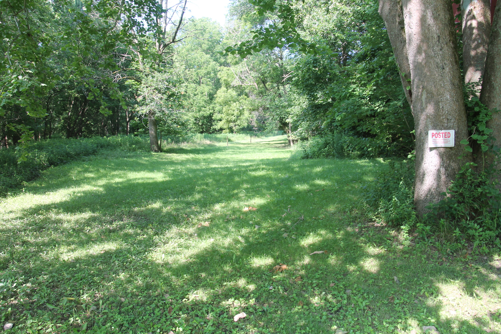 1150 N Homer, IL 61849 - Photo 8 of 32 a view of outdoor space and yard