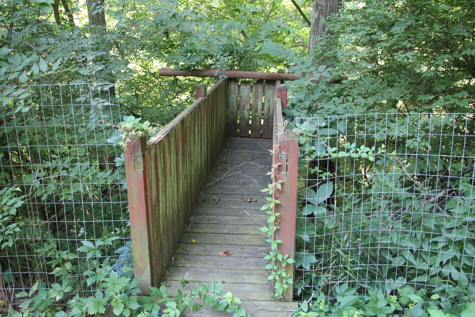 1150 N Homer, IL 61849 - Photo 10 of 32 a pathway of a house with a yard