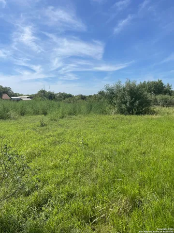 a view of a lush green outdoor space with a lake view