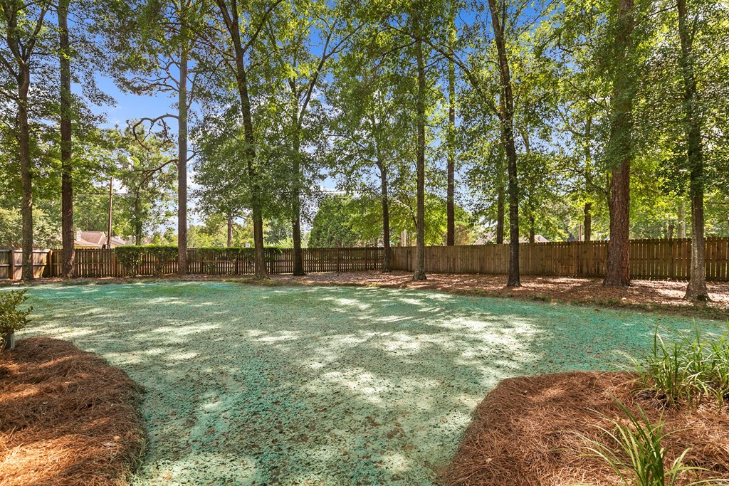 101 Mill Ridge Road Dothan, AL 36303 - Photo 46 of 52